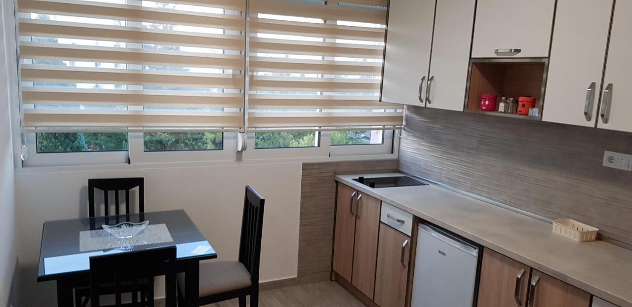 Ferienwohnung Renta stan- aprtman odmor Podgorica Exterior foto